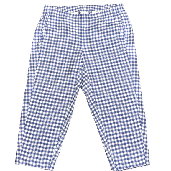 J. Jill Pants - NWOT J Jill Blue White Gingham Linen Stretch Petite XL Pants Checkered Trousers